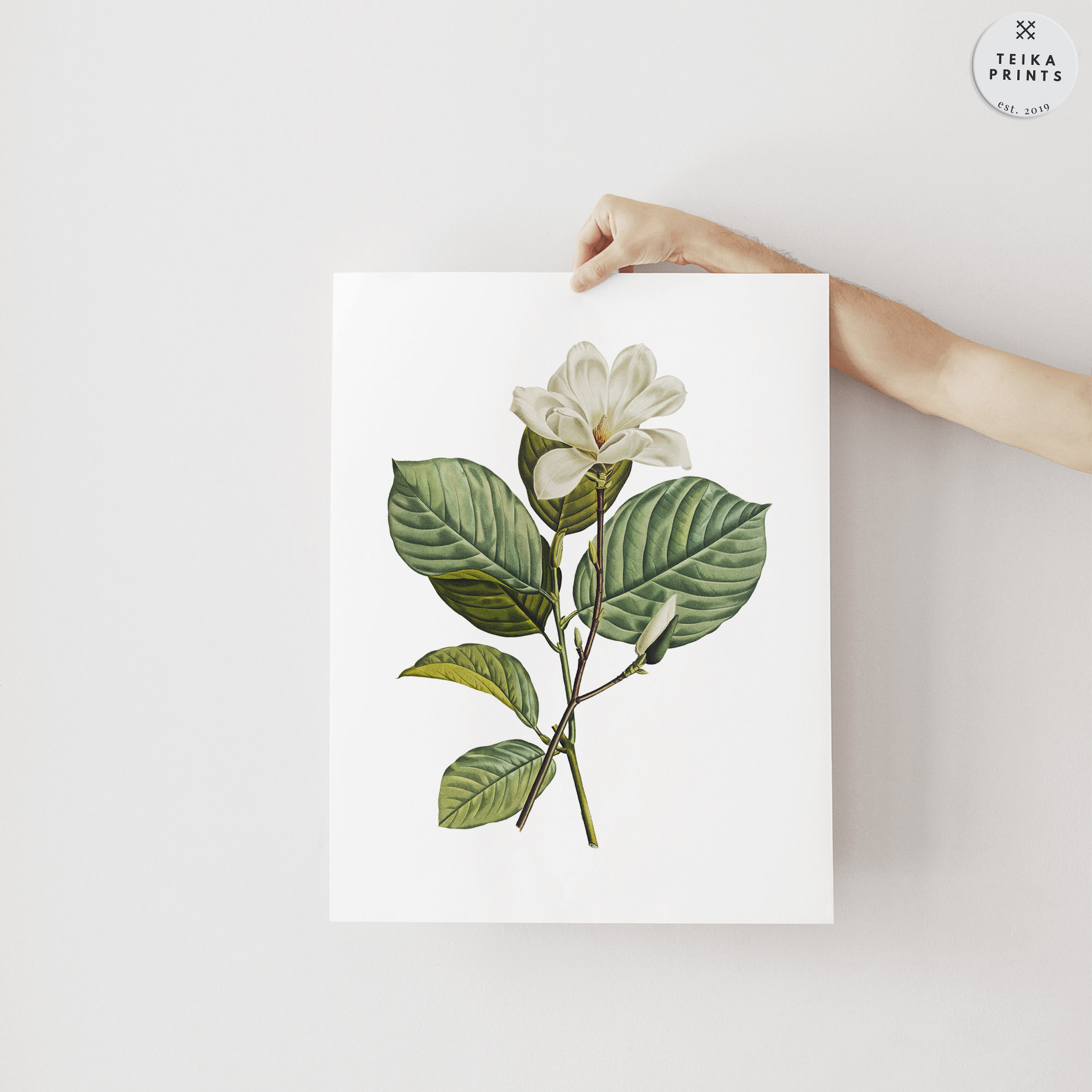 Vintage White Flowers Wall Art Prints Set of 6 / Botanical Floral Wall ...
