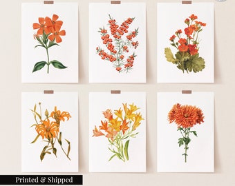 Vintage Orange Flowers Wall Art Prints Set of 6 / Botanical Floral Wall Art Decor / Minimal Aesthetic Prints / Great Gift Idea / FL17