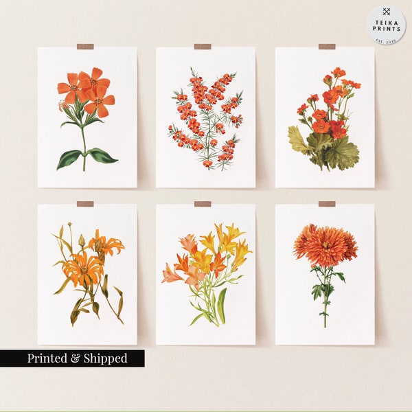 Vintage Orange Flowers Wall Art Prints Set of 6 / Botanical Floral Wall Art Decor / Minimal Aesthetic Prints / Great Gift Idea / FL17