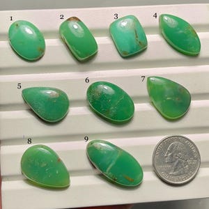 May include: Nine polished green chrysoprase gemstones in various oval and teardrop shapes. Each stone displays unique patterns and inclusions. A US quarter coin is included for size comparison. The gemstones are displayed on a white surface.
