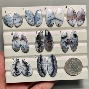 Puede incluir: Una colección de nueve pares de piedras preciosas de ágata dendrítica pulida, cada una con patrones únicos de inclusiones negras y grises sobre un fondo blanco. Se incluye una moneda de veinticinco centavos de dólar estadounidense como referencia de tamaño. Las piedras se exhiben en una bandeja blanca.