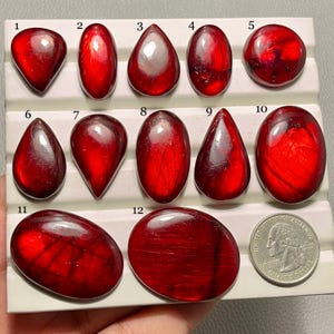 Peut inclure: Une collection de douze pierres précieuses polies, rouge foncé, de formes variées, dont ovales, en goutte et rondes. Les pierres sont exposées sur une surface blanche, avec une pièce de 25 cents américaine pour la comparaison des tailles.