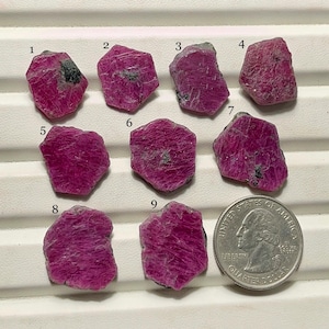Könnte beinhalten: Neun rohe, ungeschnittene Rubin-Edelsteine in verschiedenen Formen und Größen, mit einer US-Viertel-Dollar-Münze zum Größenvergleich. Die Rubine sind ein tiefes, leuchtendes Rot mit einigen dunklen Einschlüssen.