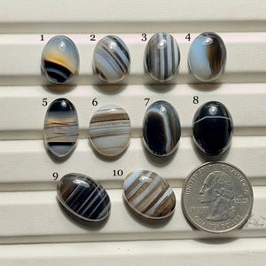 Puede incluir: Diez cabujones de ágata bandeada pulidos, de forma ovalada y numerados del uno al diez, dispuestos en filas. Cada piedra muestra rayas horizontales o verticales únicas en tonos negro, blanco, gris y marrón. Se incluye una moneda de cuarto de dólar estadounidense para escala.