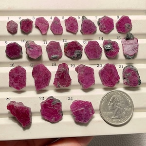 May include: A collection of twenty-four rough ruby gemstones, each with a vibrant pink-red hue. The stones vary in size and shape, displayed on a white surface next to a US quarter for size comparison. The rubies have a natural, unpolished appearance.