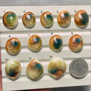 Shiva ögonskal cabochon - AAA kvalitet - naturlig designer Shiva ögonskal ädelsten - lös ädelsten - smyckestillverkning ädelsten - A-190