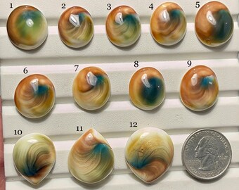 Shiva Eye Shell Cabochon-AAA Quality-Natural Designer Shiva Eye Shell Gemstone-Loose Gemstone-Jewelry Making Gemstone-A-190