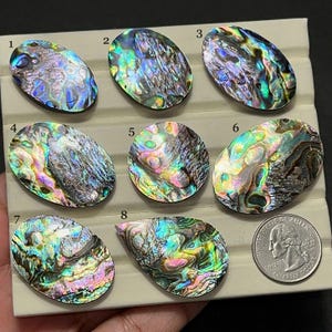 Abalone Shell Cabochon-AAA Quality- Natural Designer Abalone Shell Gemstone-Loose Gemstone-Jewelry Making Gemstone-AL-78