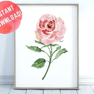 Pink Rose Wall Art, Blush Pink Wall Art, Bedroom Wall Art, Blush Nursery Wall Art, Printable Wall Art, Flower Stem Art Print