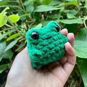 Frog Crochet, Amigurumi, Stuffed Animal, Kids Toy, Plushy