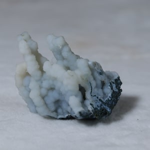 Blue Chalcedony Coral Specimen