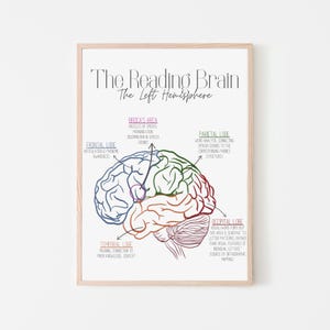 May include: A framed print showing a diagram of the left hemisphere of the brain, labelled "The Reading Brain". The illustration is colour-coded, highlighting the frontal, Broca's, parietal, temporal, and occipital lobes and their functions.
