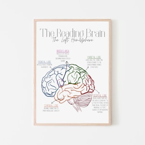 May include: A framed educational poster titled The Reading Brain The Left Hemisphere. It features a multi-colored line drawing of a human brain with labels for the Frontal Lobe, Broca's Area, Parietal Lobe, Occipital Lobe, and Temporal Lobe.