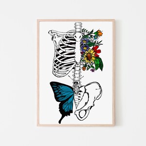 Kalon | Art Print | Medical Art | Human Anatomy Art | Digital Print | Office Decor | Digital Download