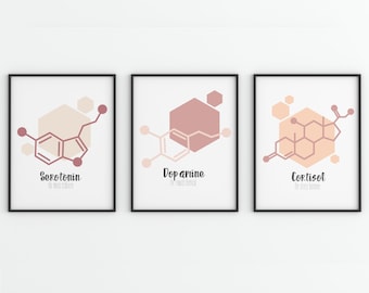 Brain Chemicals | Mental Health | Office Decor | Art Print | Therapy