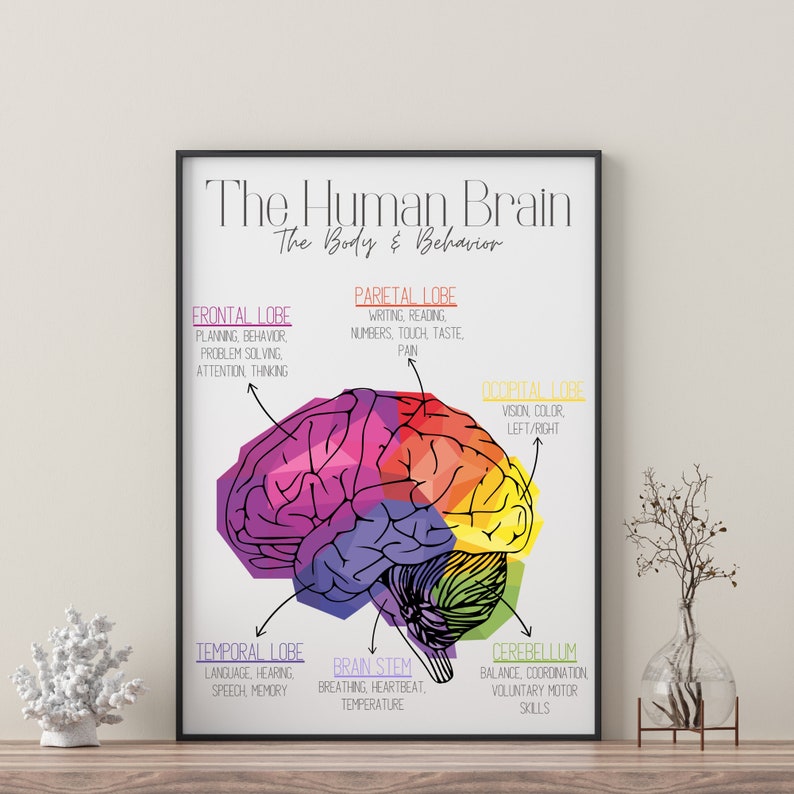 Brain Zones | Mental Health | Trauma | Fight or Flight | Nervous System ...