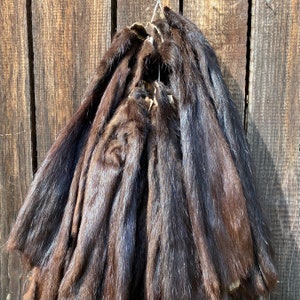 May include: A collection of dark brown fur pelts hanging on a wooden wall. The fur is soft and luxurious, and the pelts are arranged in a way that shows off their natural beauty.