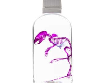 Könnte beinhalten: Eine klare, runde Flasche mit weißem Verschluss, die ein violett gefärbtes Tierskelett enthält. Das Skelett befindet sich in der Flasche und zeigt die Skelettstruktur. Die Flasche steht vor einem weißen Hintergrund.