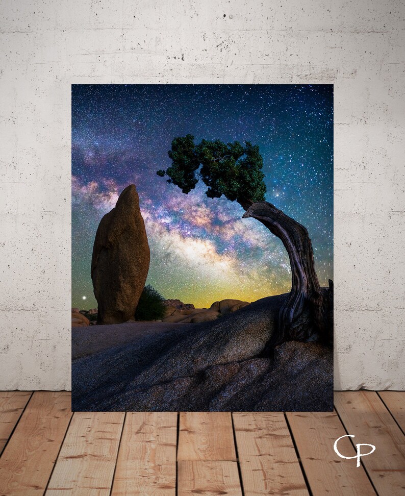 Penguin Rock Milky Way Joshua Tree National Park Night Sky - Etsy