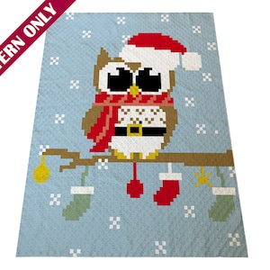 Christmas Owl Graphgan Pattern
