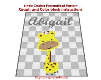 Crochet personalized baby blanket- Pattern is available to download after personalization is complete