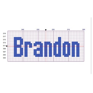May include: A blue pixel art design of the name "Brandon" on a white grid background.