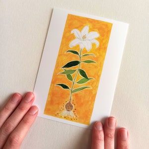 Conjunto de Postales Florales Azucena