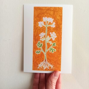 Floral Postcards Set Cilantro