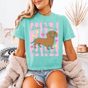 May include: A turquoise t-shirt featuring a brown dachshund illustration centred between pink vertical stripes and colourful stars. The text "Less Meanies More Weenies" is printed in a green cursive font above and below the dog graphic.