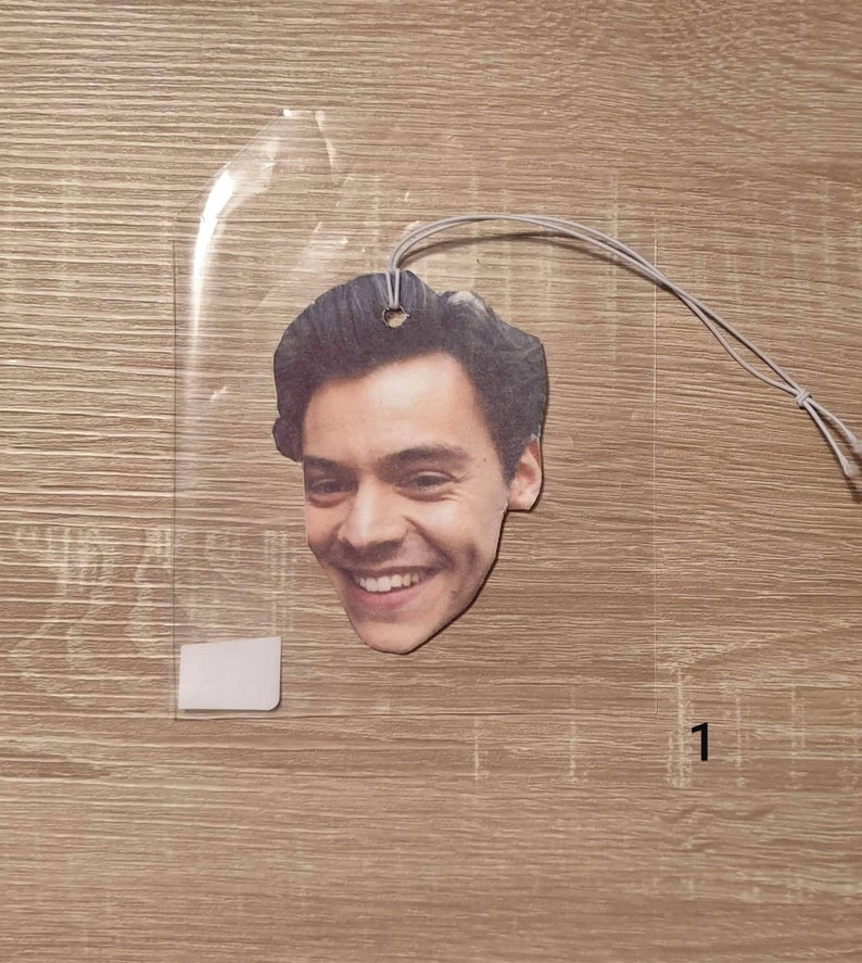 Harry Styles Car Air Freshener Music Air Freshener Pop Song Etsy