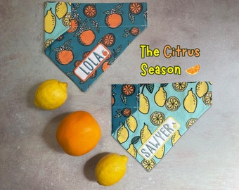 The Citrus Season •  Over The Collar Dog Bandana • Personalized & Reversible