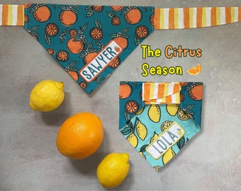 The Citrus Season • Tie On Dog Bandana • Personalized & Reversible