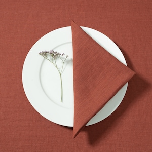 Linen Napkins, Cloth Napkins Set of 2, 6, 12 pcs, Linen Napkins Bulk, Cloth Napkins Christmas, Cocktail Napkins, Softened Linen Napkins