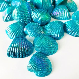 Puede incluir: Una colección de conchas marinas azules iridiscentes con un acabado nacarado. Las conchas están dispuestas en una pila sobre un fondo blanco.