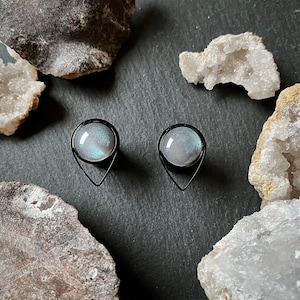 Black Plugs