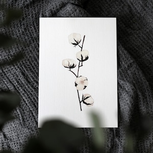 Carte/affiche "Fleurs de coton" aquarelle - A4, A5, A6
