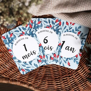 Set van 12 aquarel babystapkaarten (van 1 maand tot 1 jaar) - "Rozenbottel" - 14cm x 10cm
