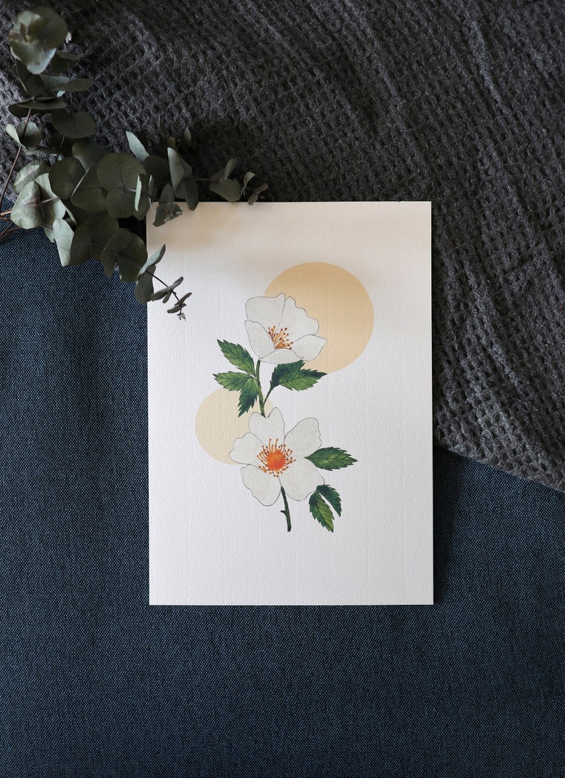 Map/poster "Rose of the fields" watercolor - A4, A5, A6 image 1