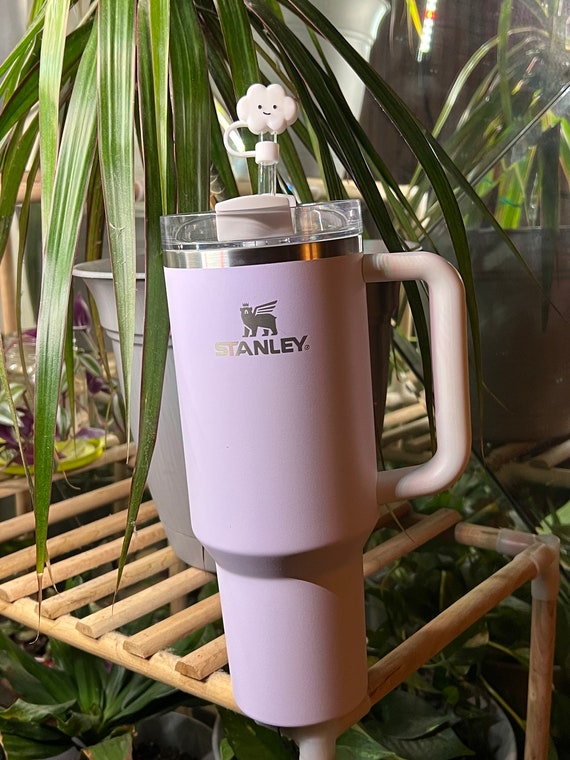 Matching straw covers for Stanley tumblers #stanley 