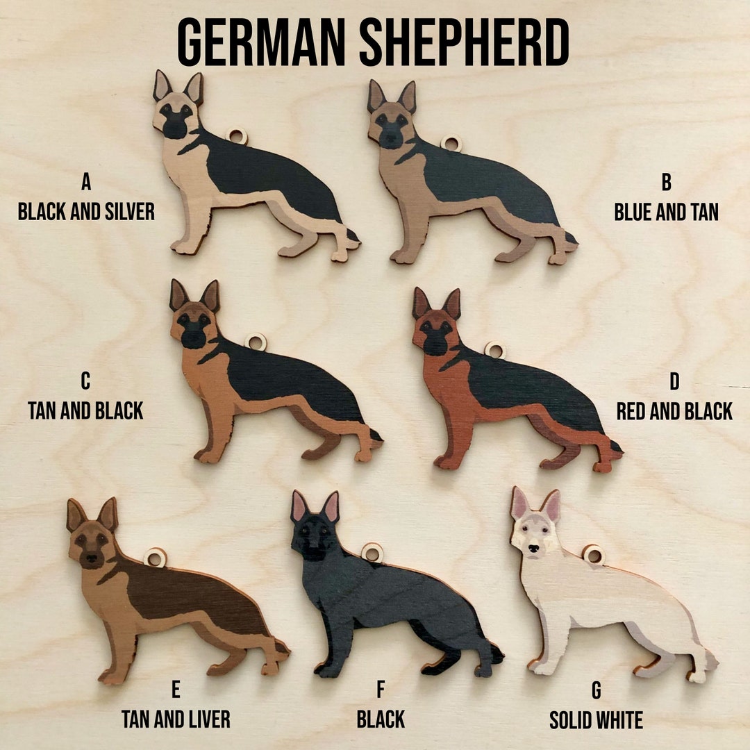 German Shepherd With No Tail 9+ Thousand Dog With No Tail Royalty