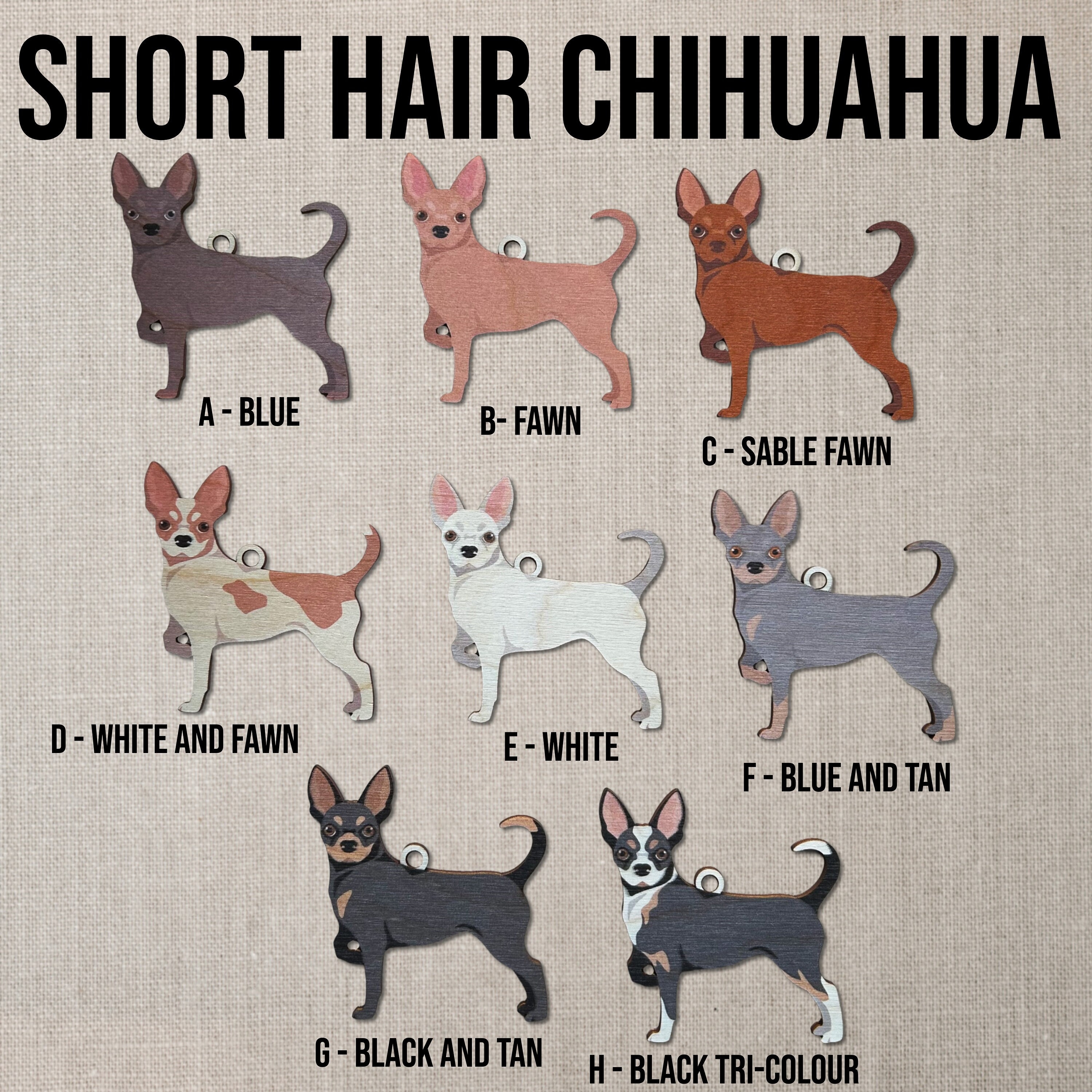 Chihuahua Shorts Chihuahua Shorts