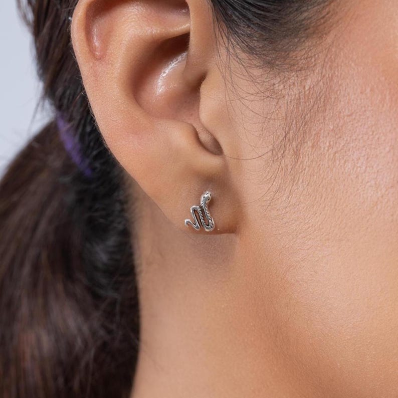 May include: A silver snake stud earring. The earring is a small, detailed representation of a snake, with a coiled body and a raised head. The earring is worn on the earlobe.