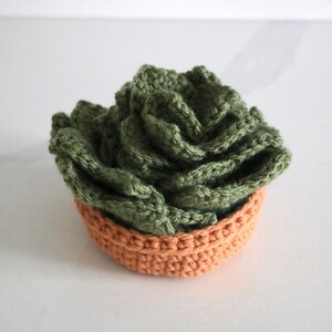 May include: A crocheted succulent plant in a small orange pot. The succulent is green and has a rosette shape.