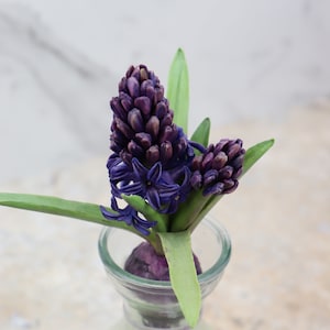 Realistic Hyacinth in Glass Vase, Cold Porcelain Flower with Faux Water, Handmade Botanical Gift, Unique Spring Floral Home Accent