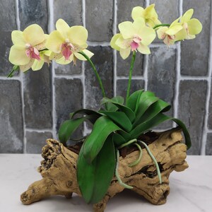 Yellow Orchid Clay Flower Sculpture, Handmade Cold Porcelain Floral Decor, Faux Phalaenopsis Arrangement, Unique Gift for Mom or Home