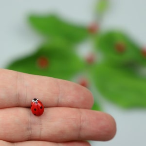 Broche miniatura de mariquita: broche realista de arcilla polimérica para bufanda.