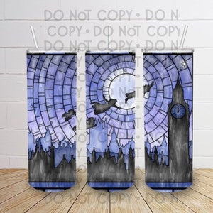Peter Pan inspired 20 oz straight tumbler