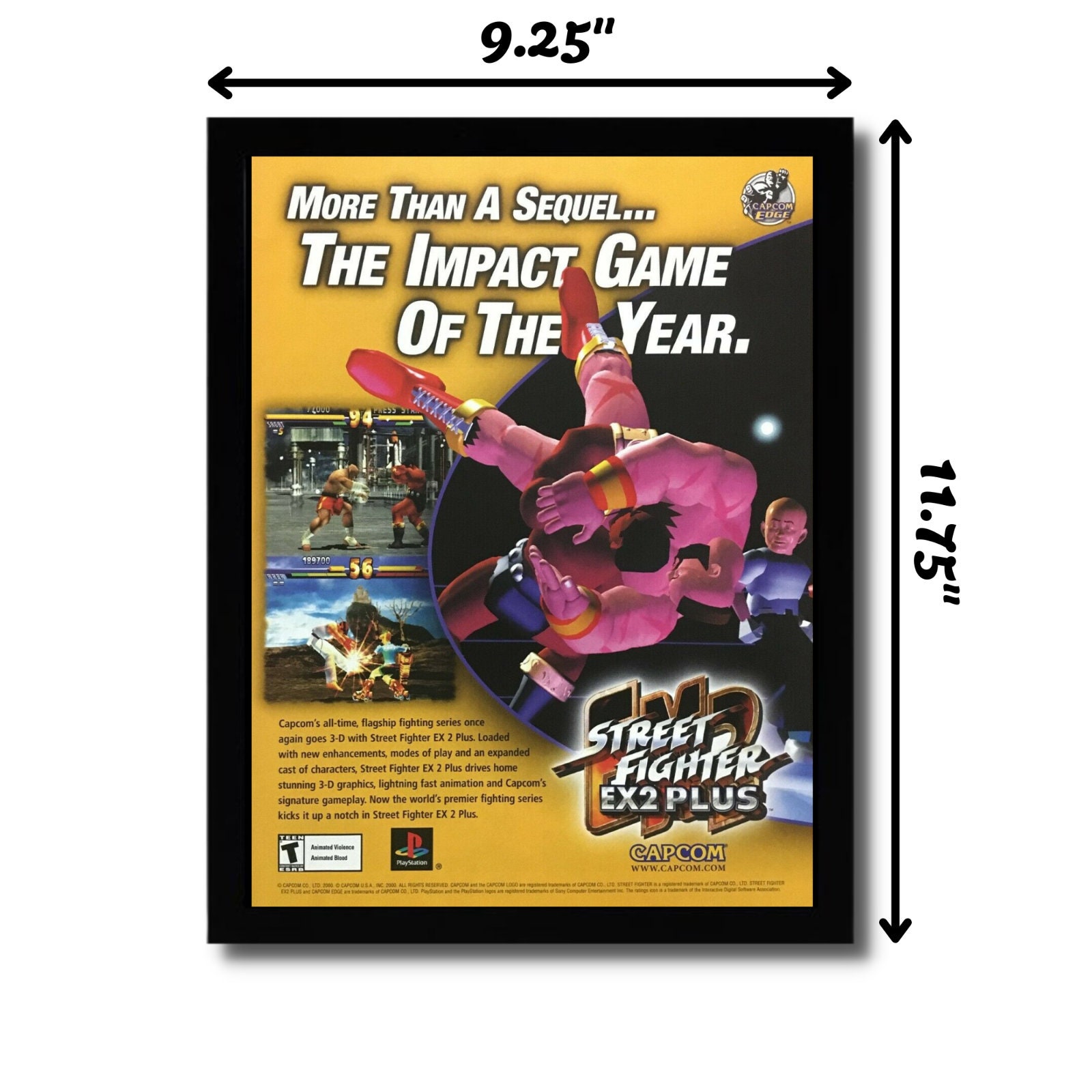 高2→将軍 トレカ チラシ セット プレステ1 PS1 Xenosaga I II III Xenogears Trilogy Der Wille Zur Macht Jenseits