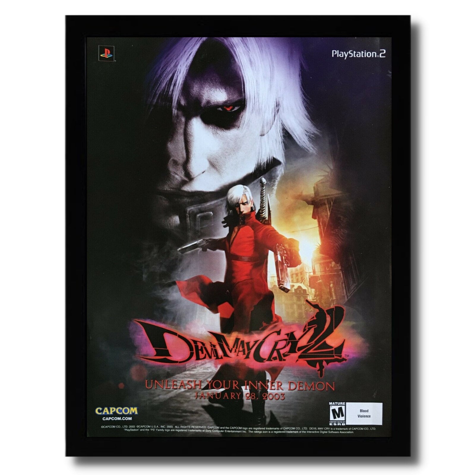 Capcom Devil May Cry 3 Dante's Awakening Promotional Vintage Wall Scroll  PS2