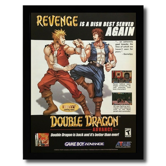 Double Dragon Advance
